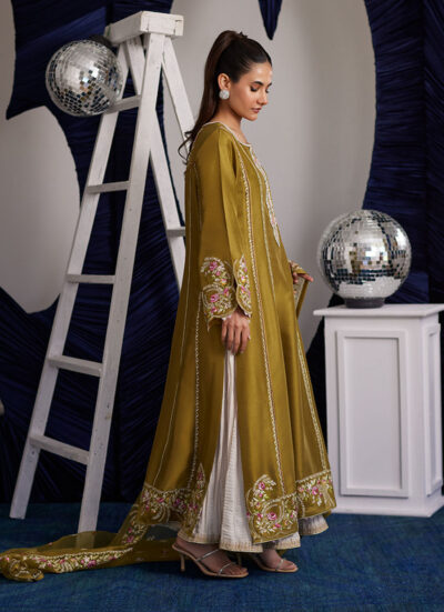 Rue Olive Shirt And Dupatta - Image 6