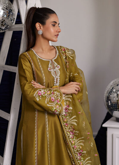 Rue Olive Shirt And Dupatta - Image 5