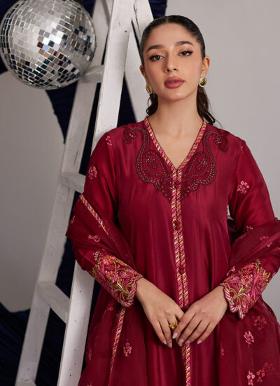 Miko Crimson Kalidaar And Dupatta - Image 2