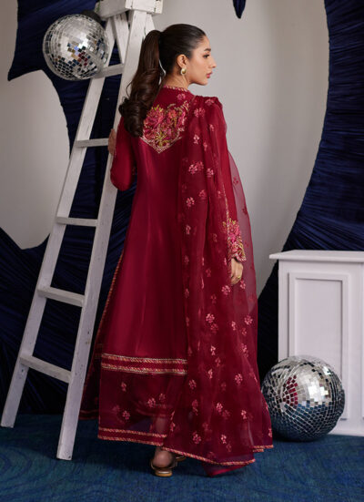 Miko Crimson Kalidaar And Dupatta - Image 8