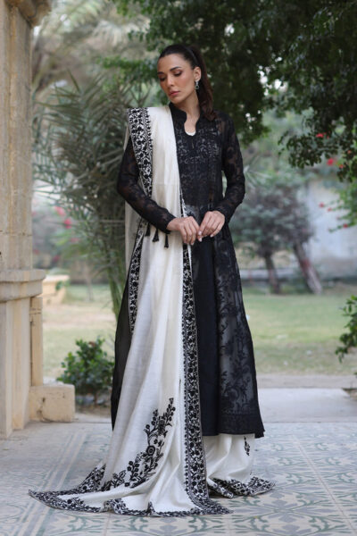 Fiza - Image 4