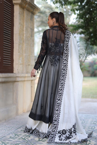 Fiza - Image 2