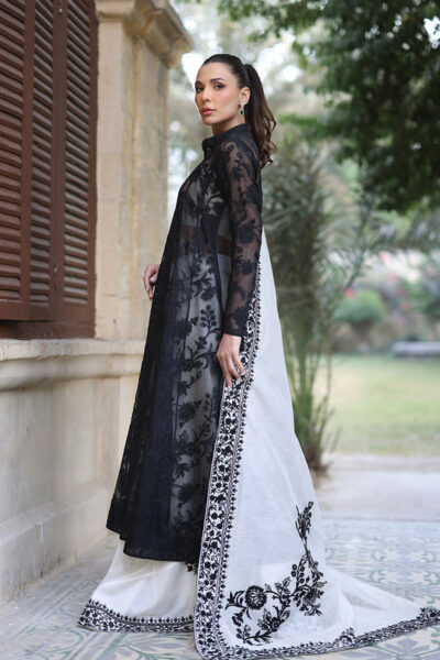 Fiza - Image 8