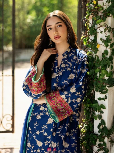Blue Illusion Kashmiri Embroidery - Image 2