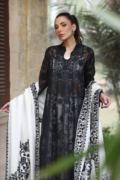 Fiza - Image 3