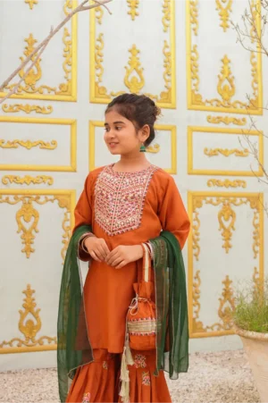 Rust Gharara (RGGEID25)