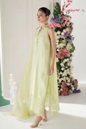 Armina
