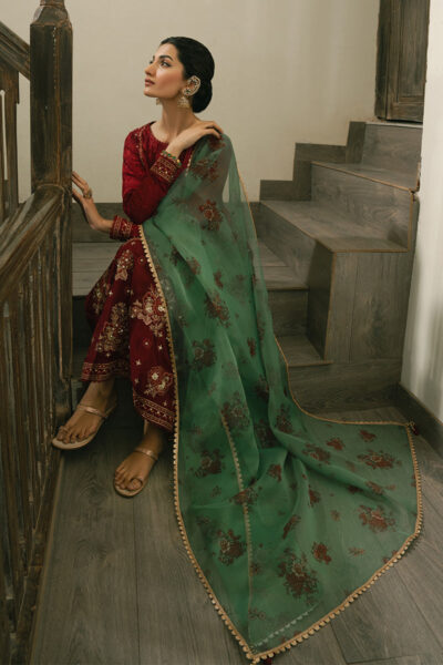 Gulaal - Image 6