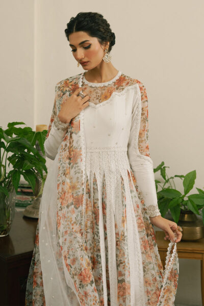 Amal - Image 3