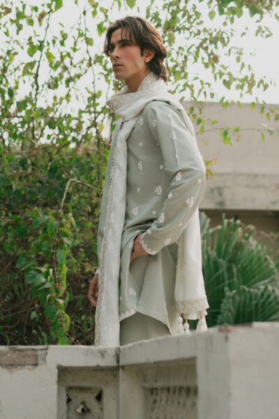 Zaid - Image 5