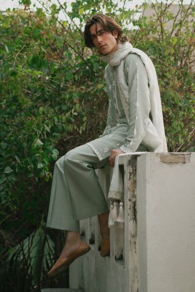 Zaid - Image 4