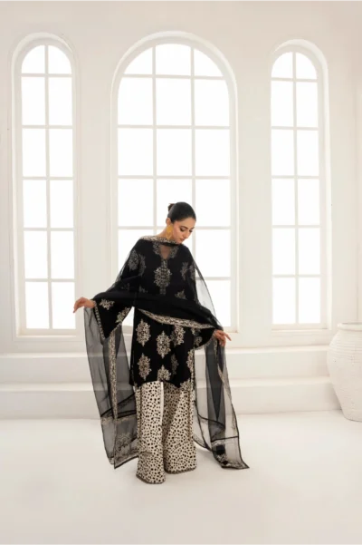 Zira - Image 4