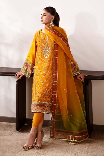 Ethnic - Image 4