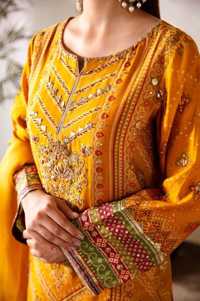 Ethnic - Image 3