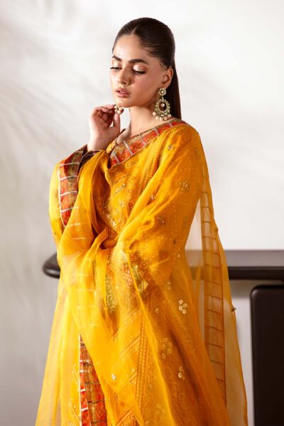 Ethnic - Image 6