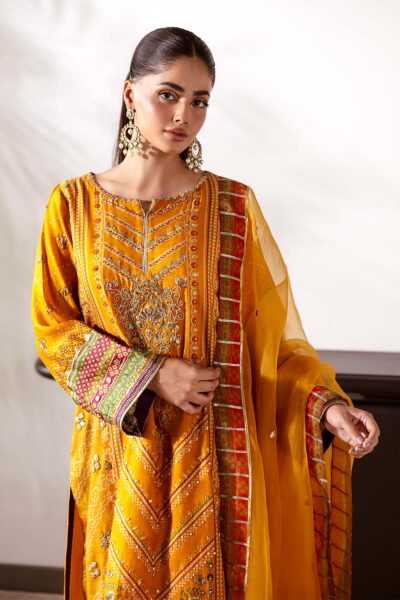 Ethnic - Image 5