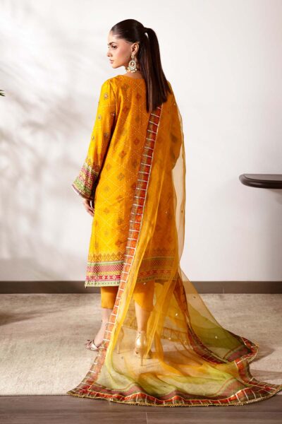 Ethnic - Image 2
