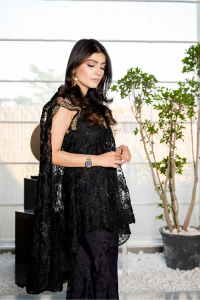 Stella Black Night - Image 4