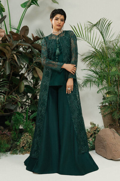 Deep Teal