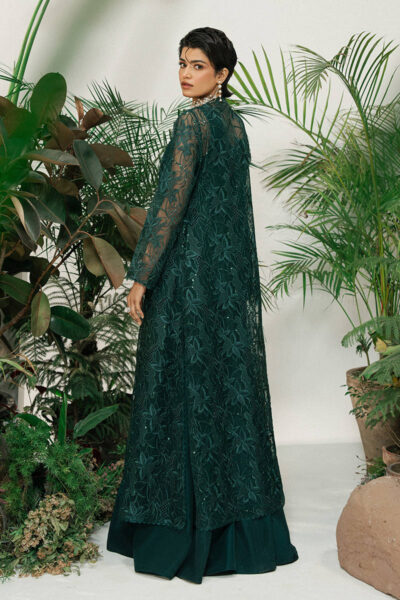 Deep Teal - Image 6
