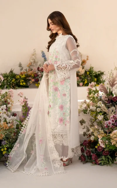 Dove (AZL25-03) - Image 4