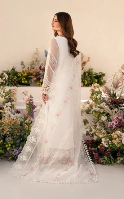 Dove (AZL25-03) - Image 2