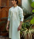 Alamgir - Image 5