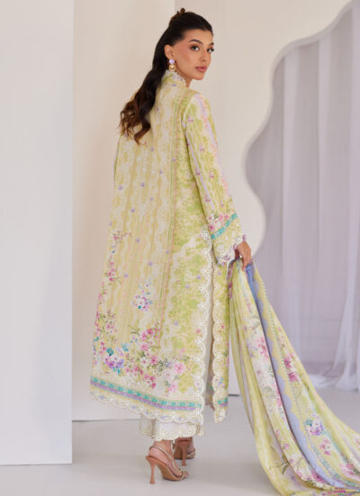 Elowyn Kiwi Shirt And Dupatta - Image 5