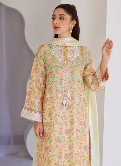 Leora Ombre Shirt And Dupatta - Image 4
