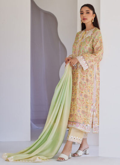 Leora Ombre Shirt And Dupatta - Image 3