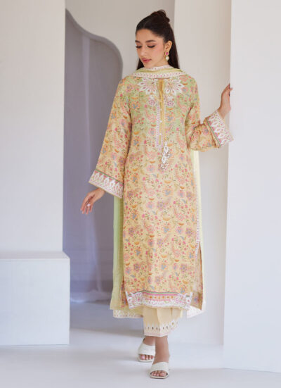 Leora Ombre Shirt And Dupatta - Image 6