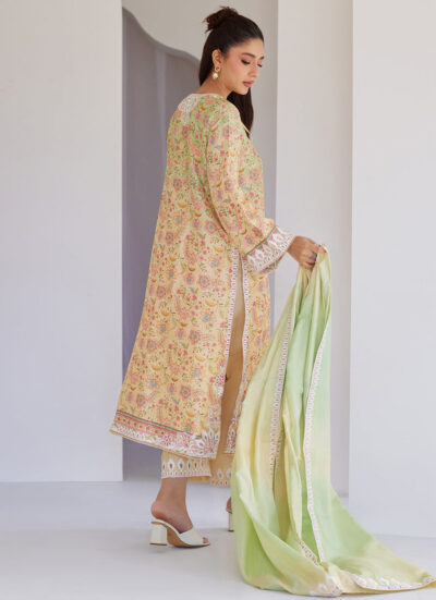 Leora Ombre Shirt And Dupatta - Image 5