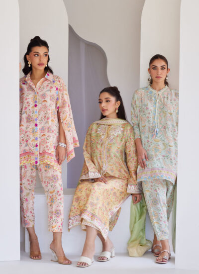 Leora Ombre Shirt And Dupatta - Image 8