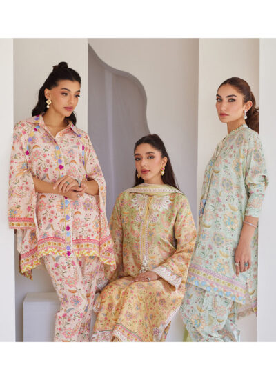 Leora Ombre Shirt And Dupatta - Image 7