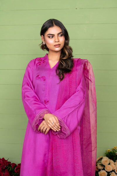 ATE2505 - Image 3