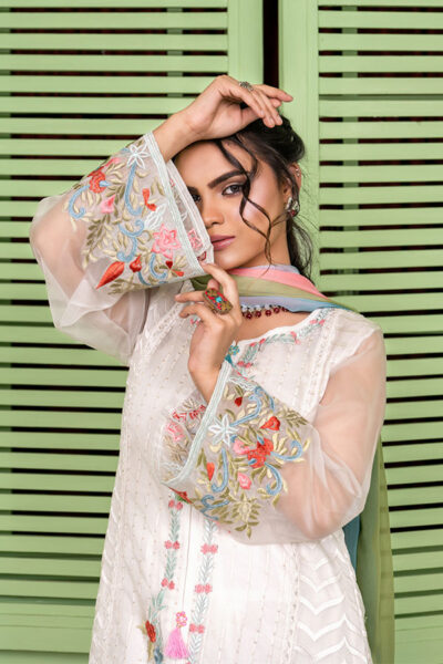 ATE2511 - Image 2