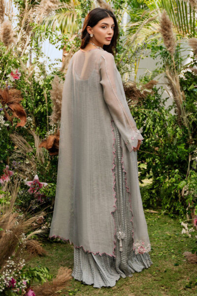 Ash Grey - Image 9