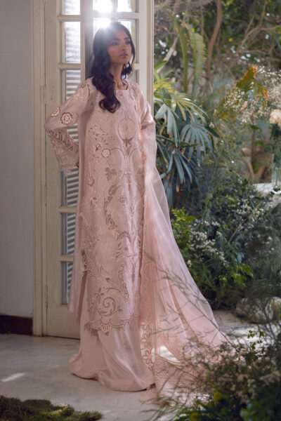Basila - Image 5