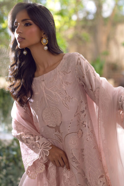 Basila - Image 3