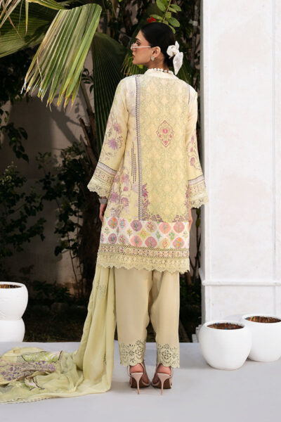 Nadia Shirt And Dupatta - Image 3