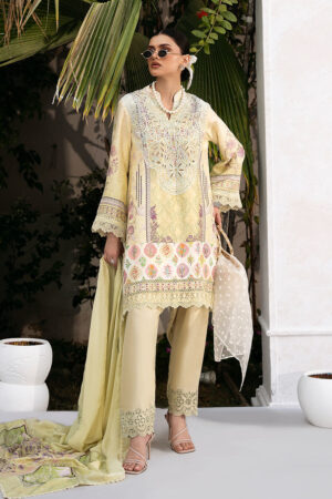 Nadia Shirt And Dupatta