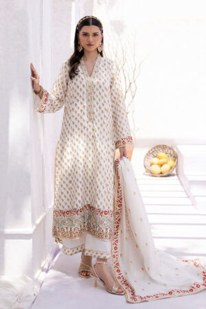 Areeba
