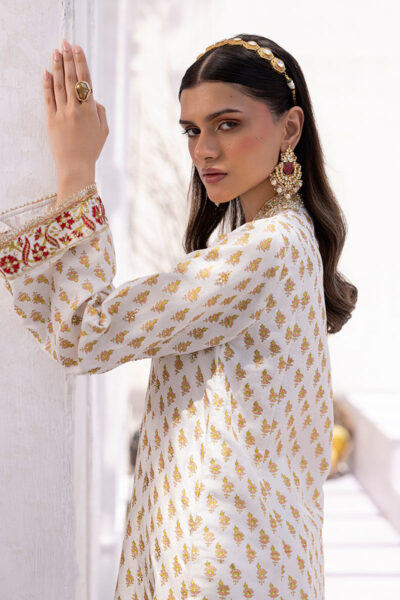 Areeba - Image 7