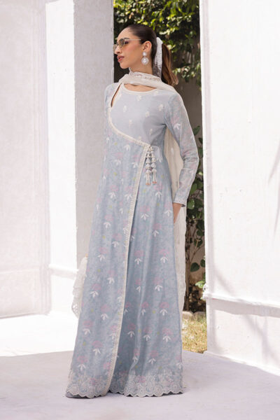 Solene - Image 7