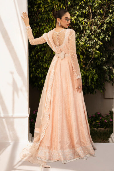 Liona - Image 3