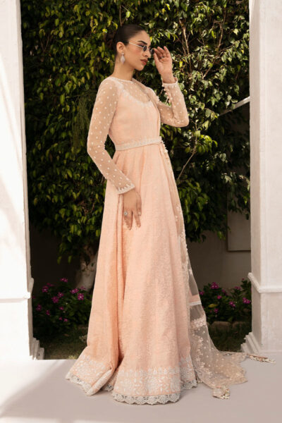 Liona - Image 6