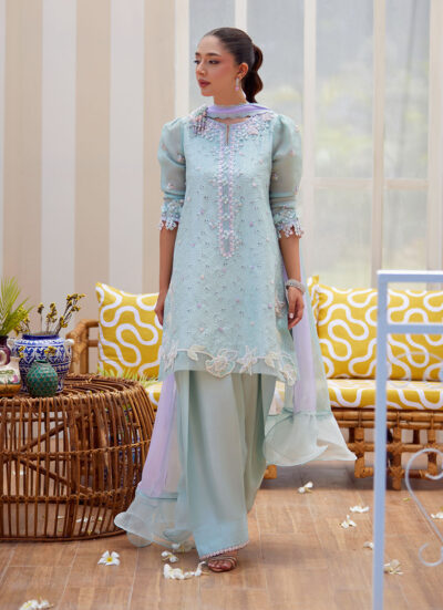 Noa Ice Blue Shirt and Dupatta - Image 3