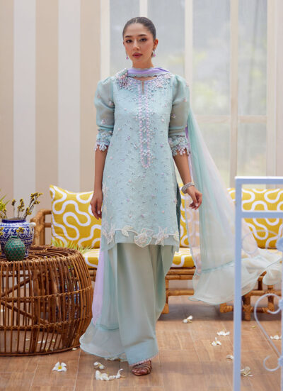 Noa Ice Blue Shirt and Dupatta - Image 2
