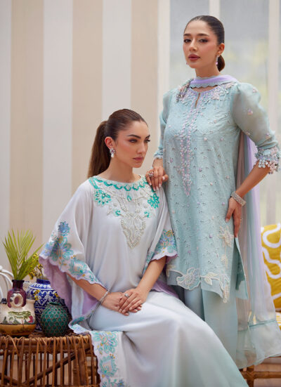 Noa Ice Blue Shirt and Dupatta - Image 9