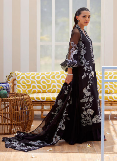 Reina Ebony Shirt and Dupatta - Image 3